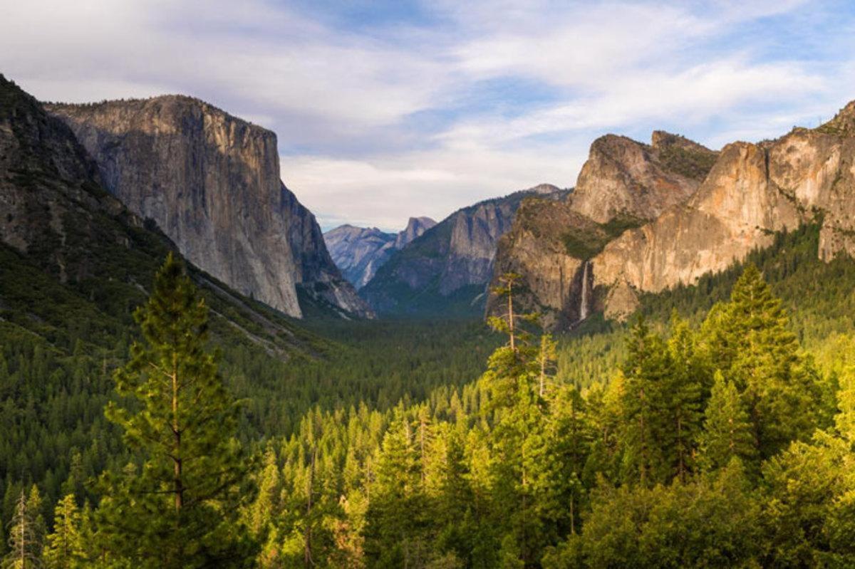 요세미테 웨스트 Cozy Bear South-Inside Yosemite National Park 빌라 외부 사진